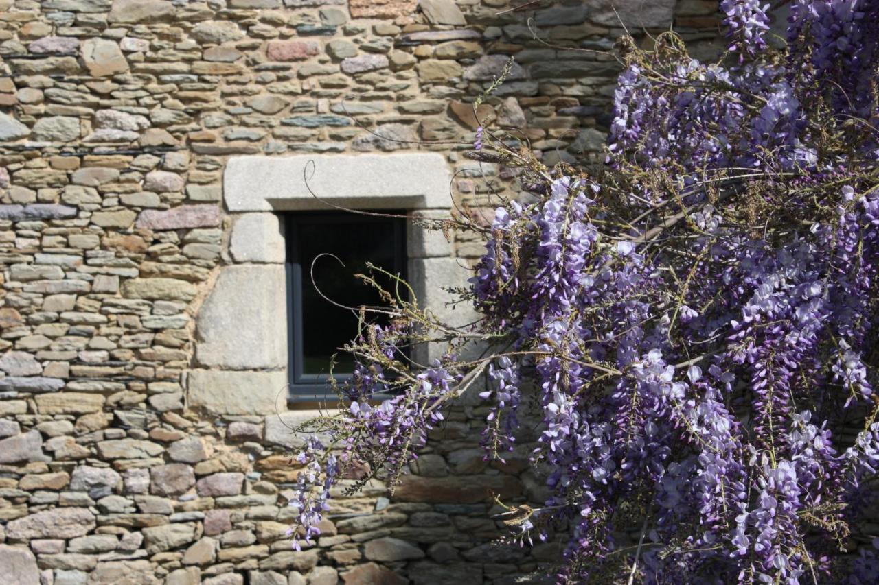 Domaine De La Prevostais Bed & Breakfast Pleucadeuc ภายนอก รูปภาพ